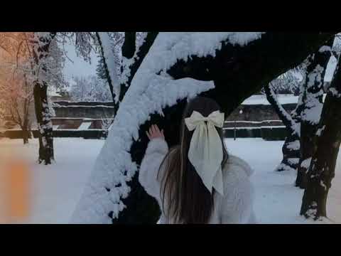 Sibel Bilgiç - Alışamadım (1997) 