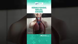 Kerap Disepelekan, Muncul Rasa Gatal di Kulit Tanda Penyakit Serius, Kenali Gejala Gagal Ginjal