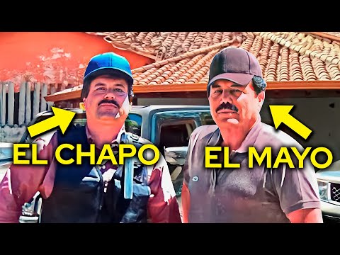 El Mayo: The Real Boss Of Sinaloa Cartel