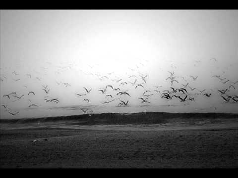 Wickerbird - Beargrass