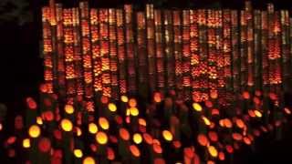 preview picture of video '☆夕涼み竹灯籠☆ 湖西市新所原 bamboo lanterns in Kosai city'