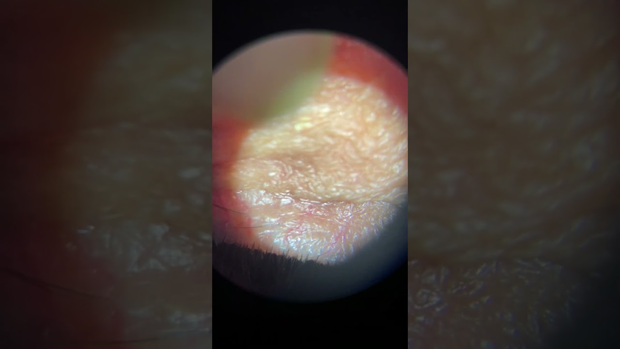 Ofelia Jocabeth Ochoa Brown-14