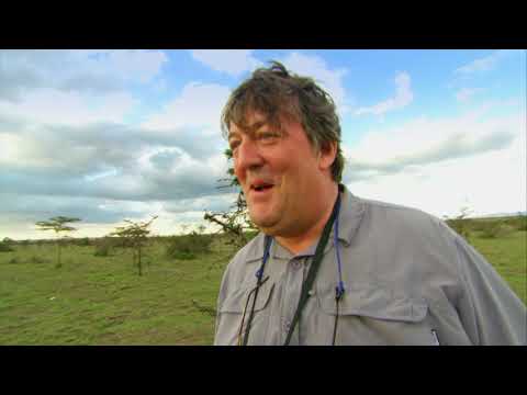 Stephen Fry's Close Encounter with a White Rhino Last Chance