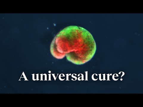 Big Think and 2 more