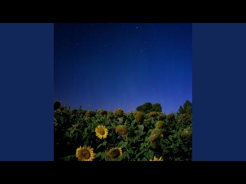 Video thumbnail for ​faraway / wilted