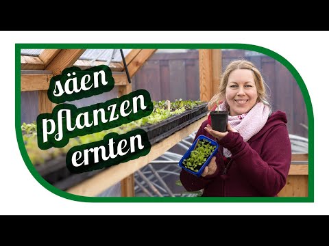 , title : 'Säen Pflanzen und Ernten im März | Aussaaten und Gartenarbeiten im Gartengemüsekiosk'