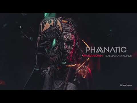PHANATIC FEAT DAVID TRINDADE - WAKANDAH (THE SEQUENCE GHOST GUITAR PLAY)