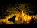 Самый красивый видео клип и песня EDWARD MAYA LOVE STORY 