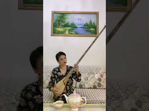 Uyghur folk music - Ushaq muqam | ئۇشاق مۇقام مۇقەددىمە