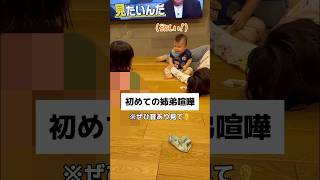 【育児あるある】兄弟喧嘩が始まりました#shorts