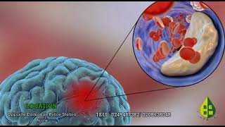 Total treatment of all diseases is here.