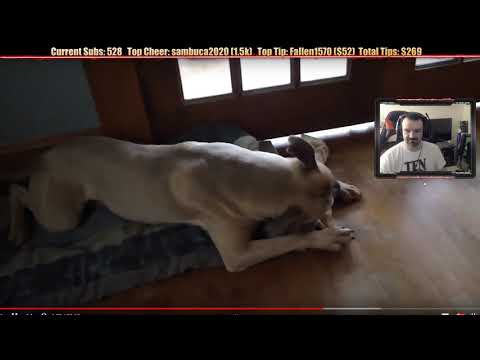 Retrospective Marathon June 2019 pt6 - Dog Vlog, More Magfest