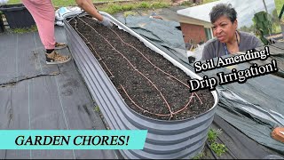 GARDEN GOALS:  ACHIEVED IN ONE DAY?