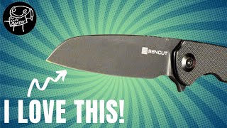 Discovered A Perfect Budget Knife That Almost Has It All