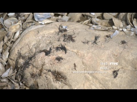 KOD najava - Opasno otpadno maslo gori niz cela Makedonija - instituciite slepi 23.05.2021