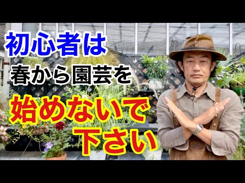 ズッキーニの鉢植えを始めるのに最適な時期はいつですか?  庭園