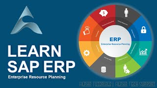 Download lagu SAP ERP Essential Training mp3