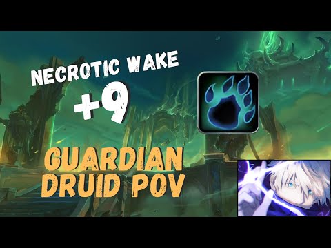 +9 Necrotic Wake - Guardian POV