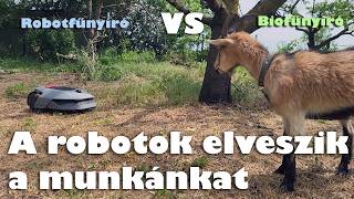 A robotok elveszik a munkánkat | Dreame A1 pro 800 robotfűnyíró ◆ Eszközteszt