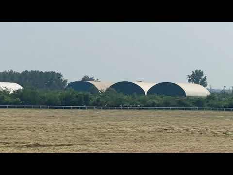 28.06.2020 Šabac 1.Trka