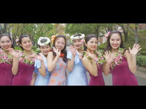 同志社クローバー祭