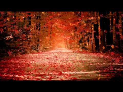 CD: Milagres e Maravilhas Cantora: Marcia Valeria.