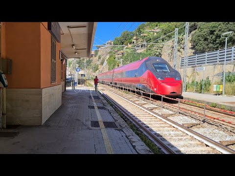 Italo NTV 8111 Torino Porta Nuova - Reggio Calabria C.le
