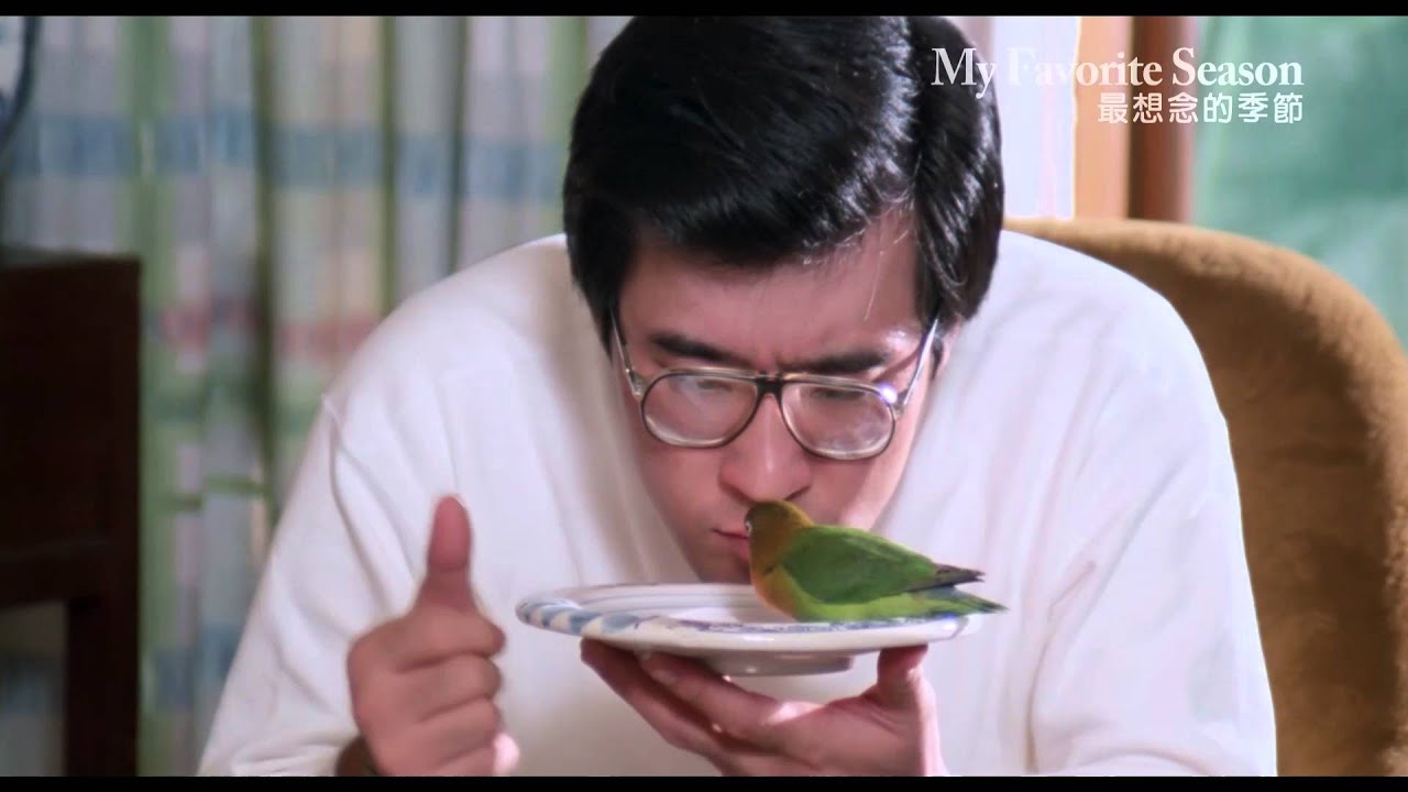 《最想念的季節》My Favorite Season|全新數位修復預告 Trailer|中影,中影數位電影頻道,經典影片,數位修復