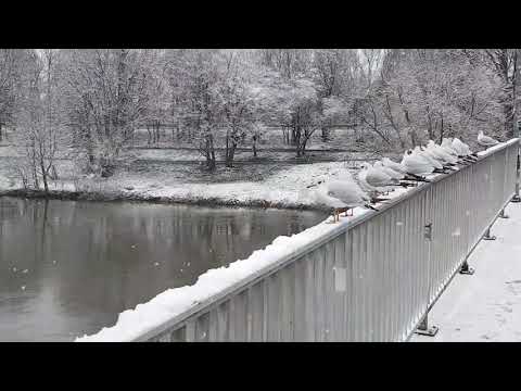 Hannover - Linden Nord - Winter