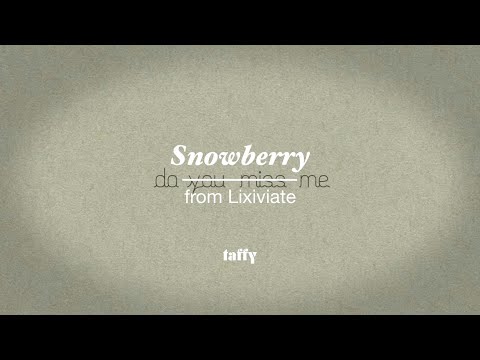 taffy - Snowberry (Official Video)