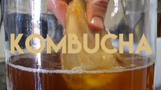 Beginners Guide To Fermentation: Kombucha Making by Brothers Green Eats