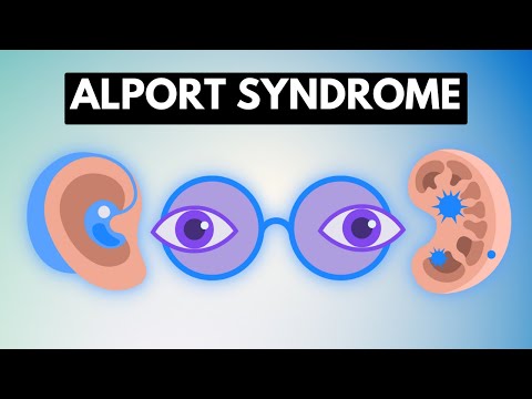 Alport Syndrome Causes Signs and Symptoms Diagnosis and Treatment