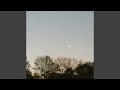 a tiny moment