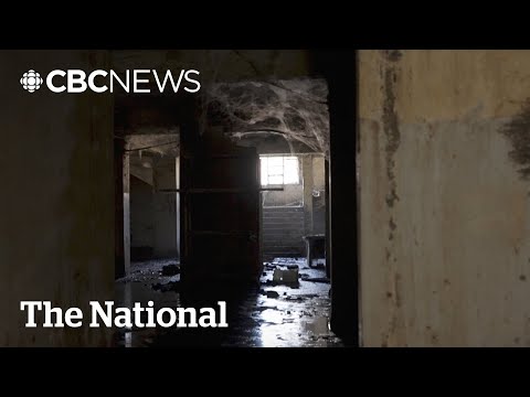 Leaked files show evidence of Assad regime's brutality in Syria