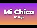 Mi Chico - DJ Goja (Lyrics)