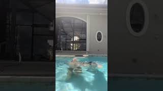 sexy hot ? Tiktok girls video ? just for you subscribe for more videos like