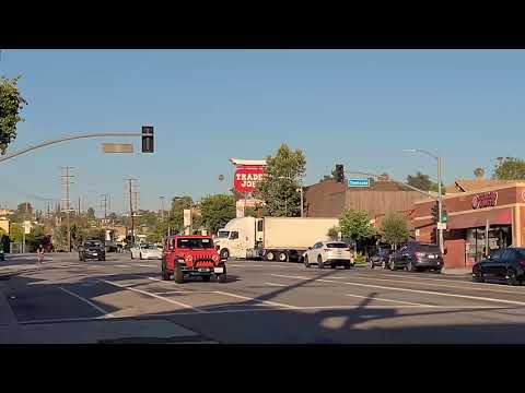 Trader Joe's Delivery on Tuesday 07-06-2021 7:00PM