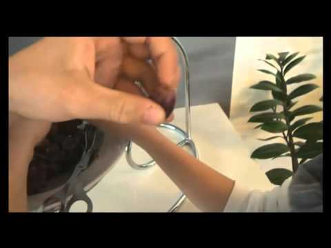 Marcus and martinus MGPj 2012