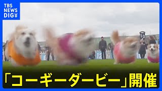 Attach YouTube