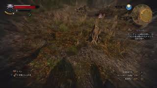 ＃１　ウィッチャー3 ワイルドハント