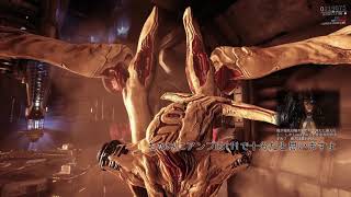 これで君もロパロリストハンター入門（にんじゃぐらし！2学期番外編）【Warframeゆっくり実況】
