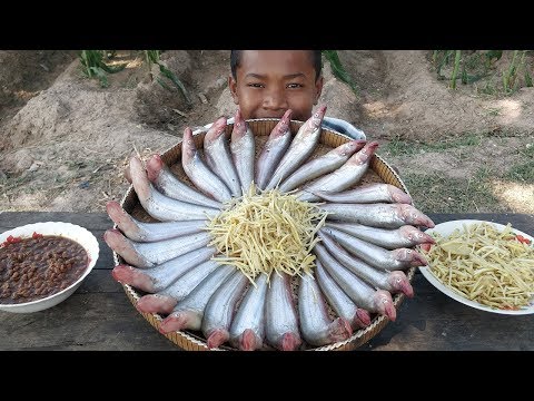 Yummy Fish Cooking Ginger & Soybean Paste / Fried Fish Recipe / Kdeb Cooking