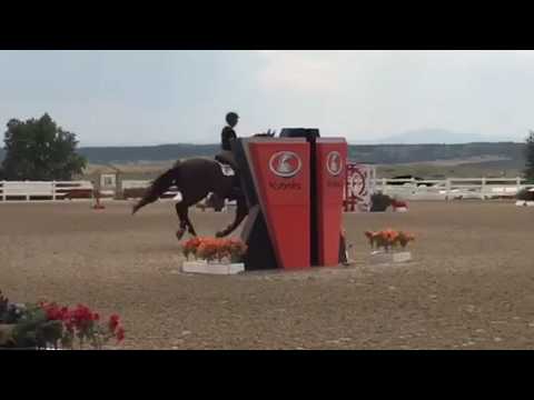 Diamaro VDL 1.40 Colorado