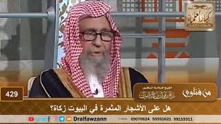 صورة هل على الأشجار المثمرة في البيوت زكاة؟ الشيخ صالح الفوزان