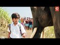 Rajabheema HD New Blockbuster Full Hindi Dubbed Action Movie Arav Ashima Narwal Yashika