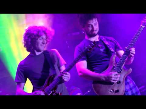 Pigeons Playing Ping Pong on location with Foo Crew