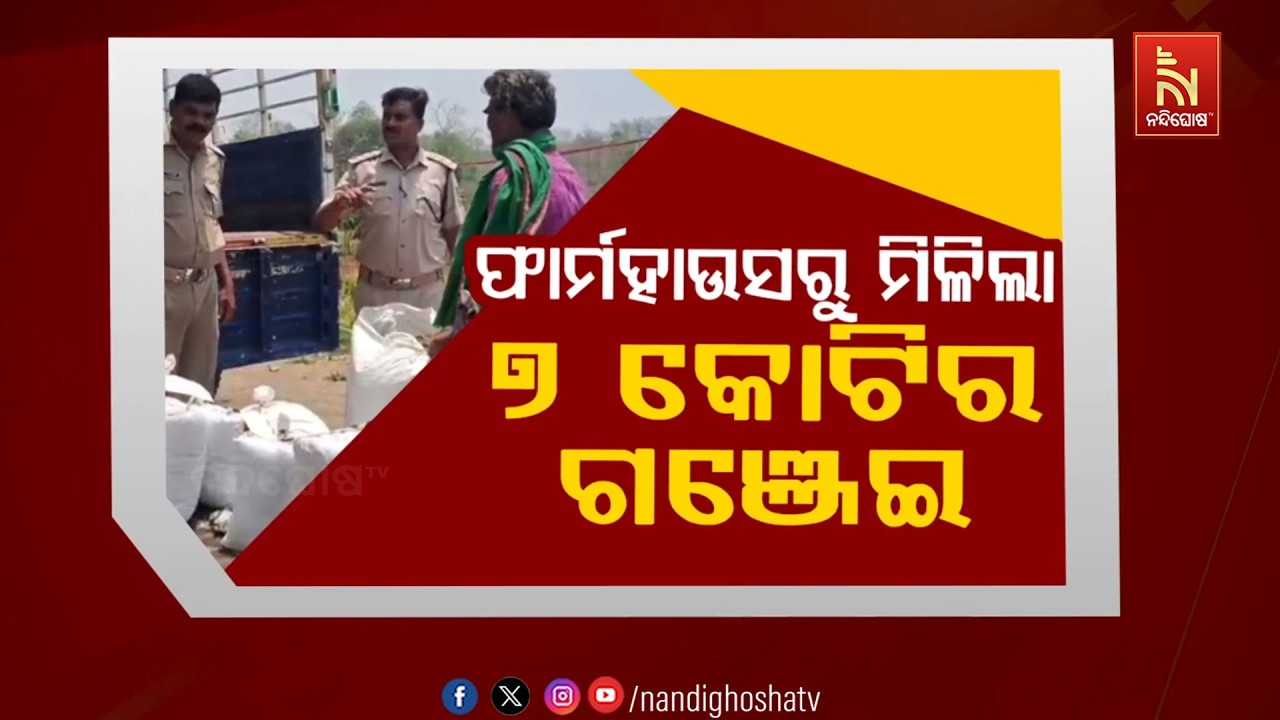 🔴Live | ଫାର୍ମହାଉସରୁ ମିଳିଲା ୭ କୋଟିର ଗଞ୍ଜେଇ