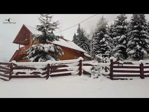 Trans Ursoaia❌DN1R❌