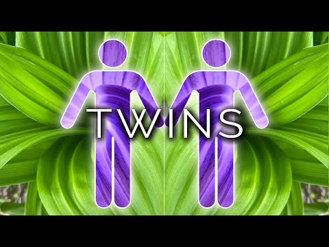 885-IT Alex, TWINS - Ipnosi Esoterica ∞ Lucio Carsi