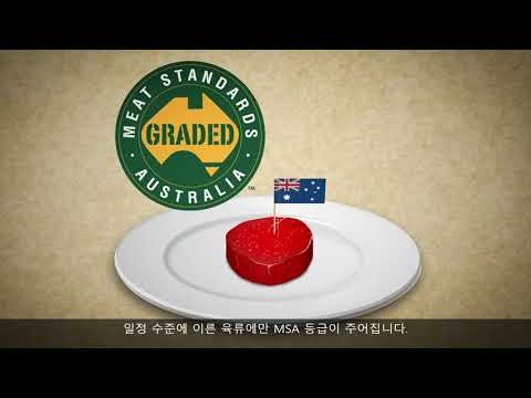 Understanding the MSA Program (Korean VO and subtitles)